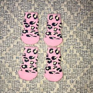 Small Dog Socks